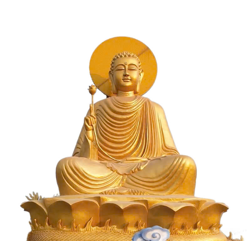 Thiền Tông